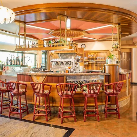 酒店 欧亚希公园酒店 4*