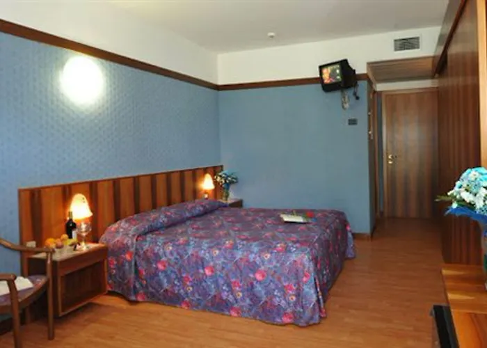 欧亚希公园酒店 加尔达