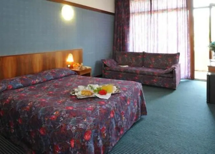 欧亚希公园酒店 加尔达