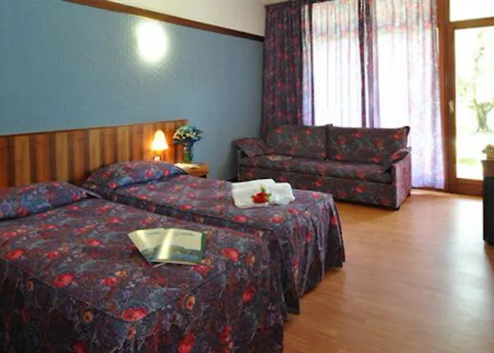 欧亚希公园酒店 酒店