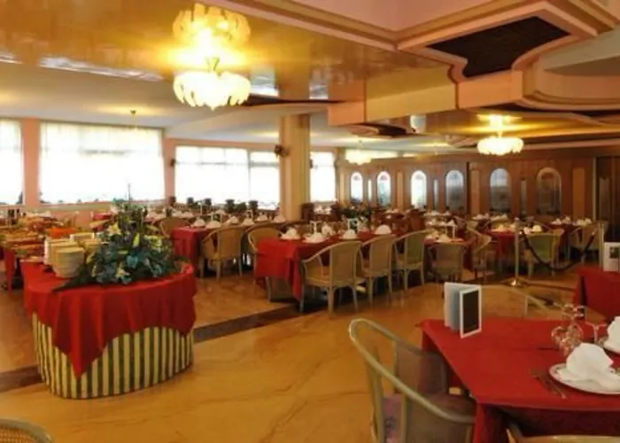 酒店 欧亚希公园酒店 4*