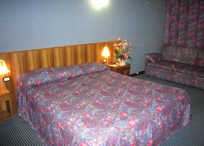 酒店 欧亚希公园酒店 4*