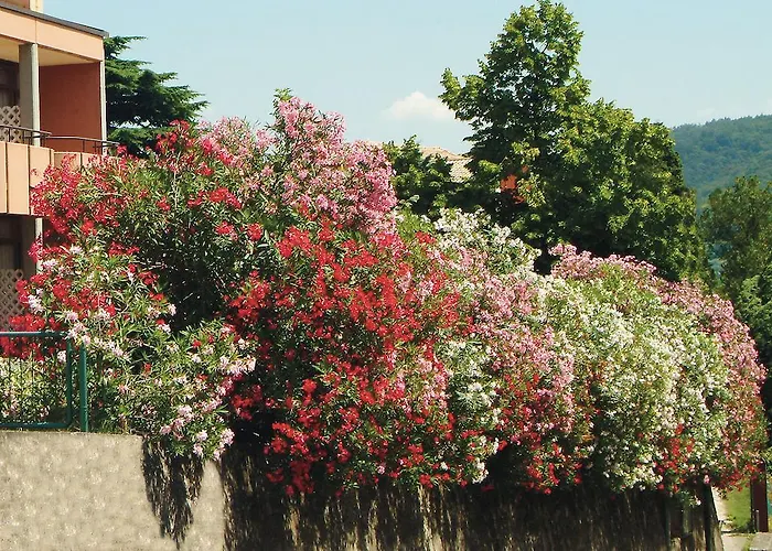 酒店 欧亚希公园酒店 加尔达