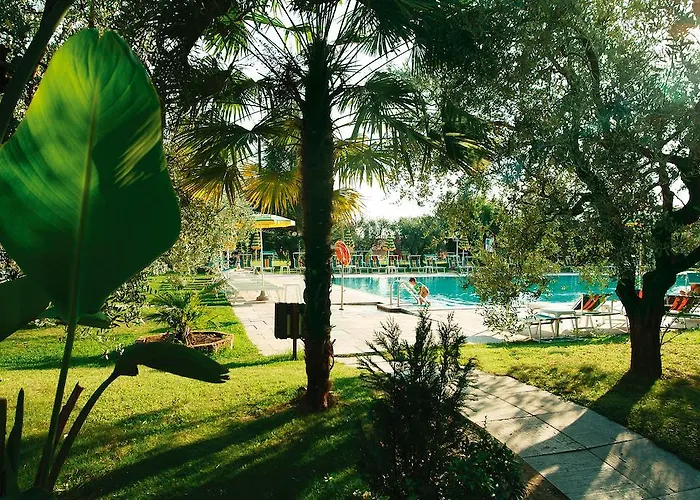 酒店 欧亚希公园酒店