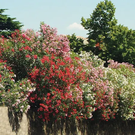 Hotel Park Oasi Garda (Verona)
